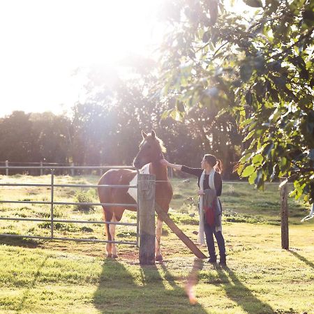 Bridle Guesthouse Maleny Esterno foto